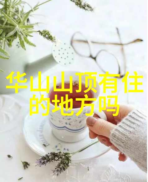 上海日结探索华东地区最具代表性的计费模式与其在现代服务业中的应用