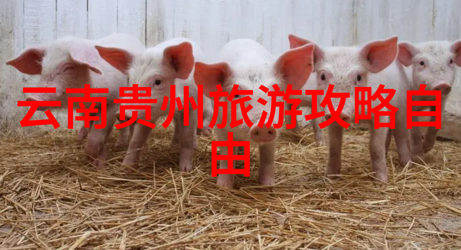 五一自驾游开启我们的探险之旅