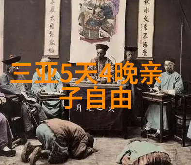 老年游专列怀旧之旅的温暖驿站