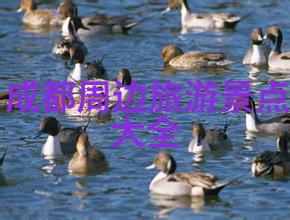 冰雪童话东北自驾游的冬季奇遇