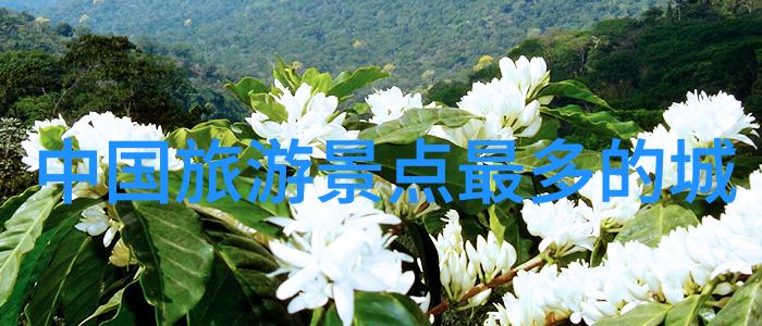 在乌镇旅游攻略中自由行游客是否可以开轿车
