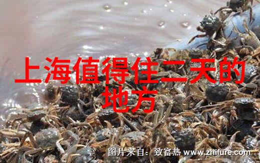 村庄的守秘者与穿越时空的祭祀