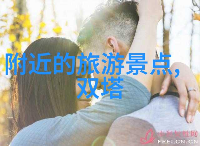 探索中华美食大地品味各地名吃的风味之旅