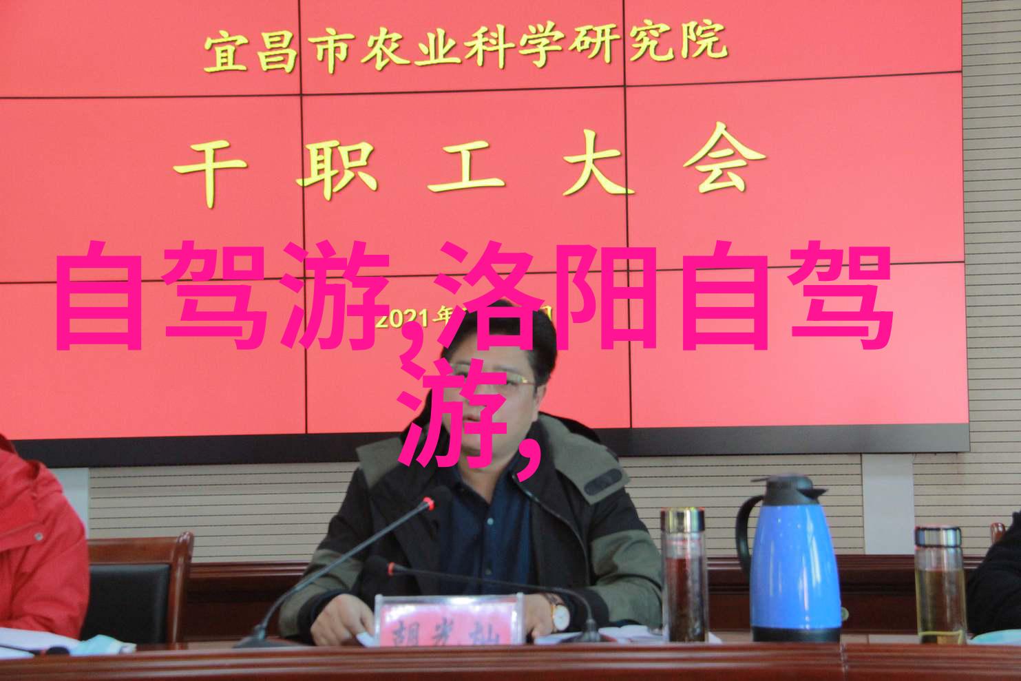 国内适合自驾游的路线我推荐的五条亲子友好自驾之旅
