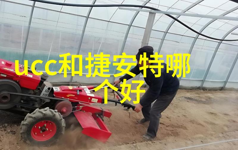 烹饪技艺传承深入浅出的小吃特色培训全解