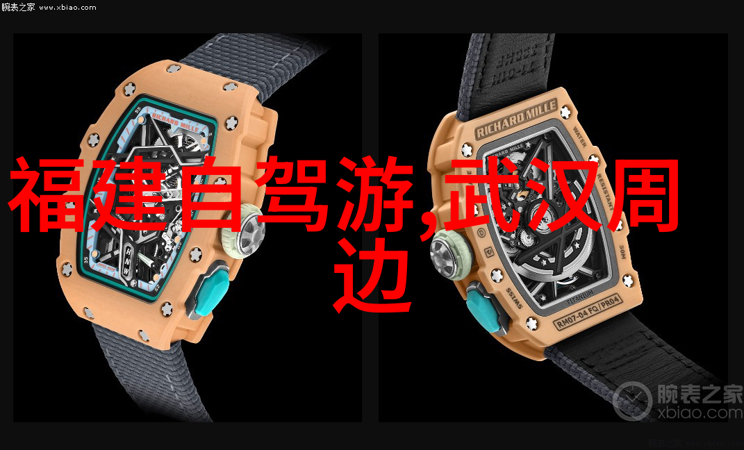 户外探索孩子们的自然奇遇