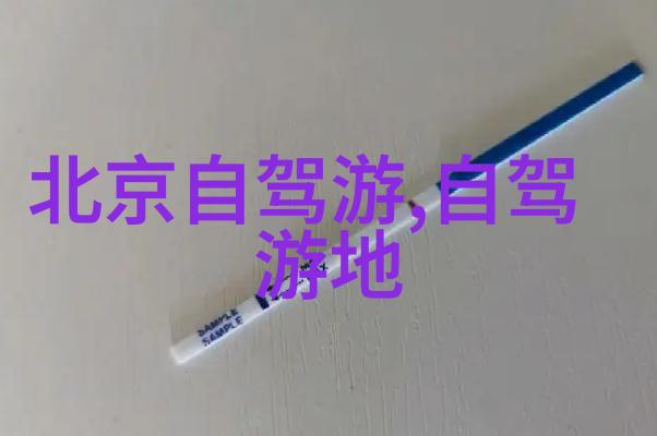 全国旅游监管平台导游入口打造专业化服务新标准