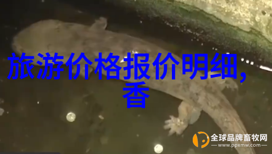 莫斯卡村游记作文400字攻略2020