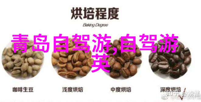 小例外中的大智慧探索生活中的微妙差异
