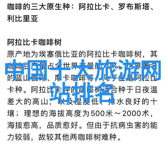 酒店住宿体验的文化与经济分析探索当代旅客选择偏好及其背后的市场动态