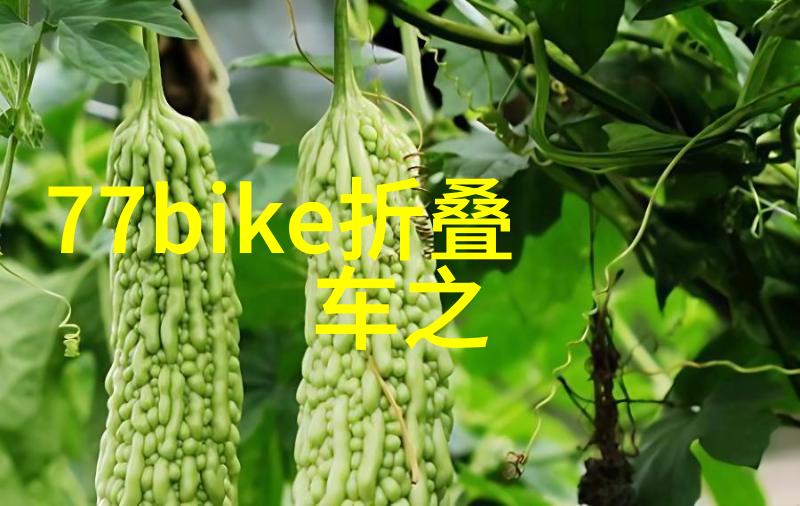 九十月的旅行探索秋天的秘密花园