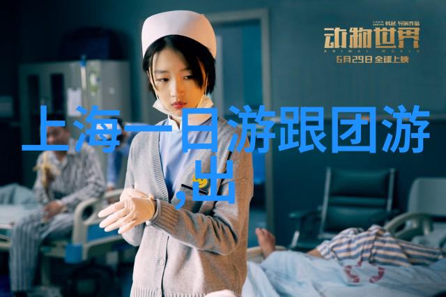 去西安怎么玩最合适来看看我这次的旅行经历吧