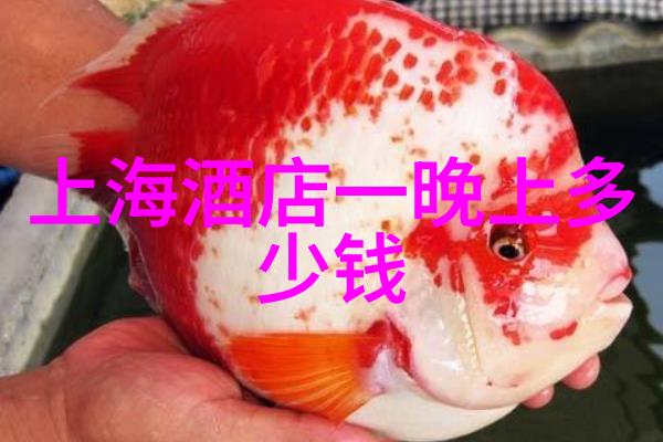 自驾游买什么保险好 - 行车安全旅行无忧自驾游必备的保险选择