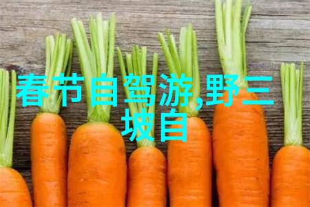 新东方快车引领风采淄博两日游线路精选体验速度与激情的旅行之旅