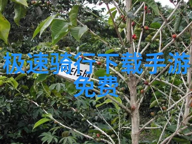 东江湖景区美食体验东江湖特色餐饮