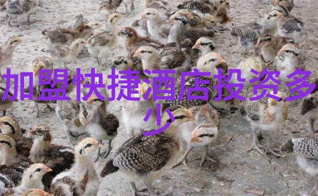春日绽放古韵莺啭与蜜姜香味的交响