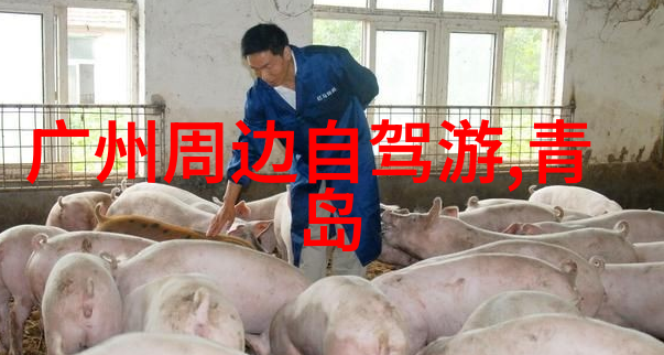 在云南旅行期间应该如何安排最佳时间访问保山市