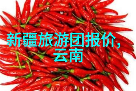舌尖上的文化体验欧洲最佳的美食城市游