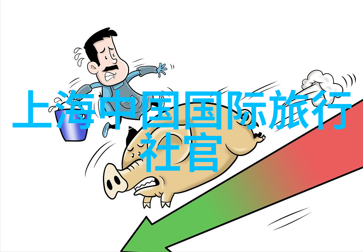 中国禁止旅游的国家背后的原因与影响