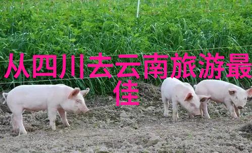 世界十大著名旅游胜地我要带你去探险