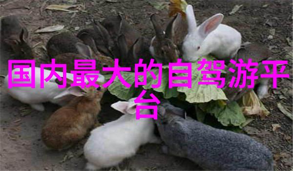 厦门美食与住宿攻略自由行指南