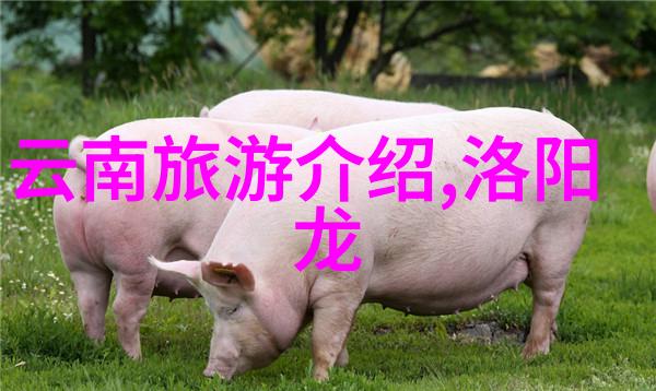 春节游记探秘家乡的温暖与现代都市的繁华对比
