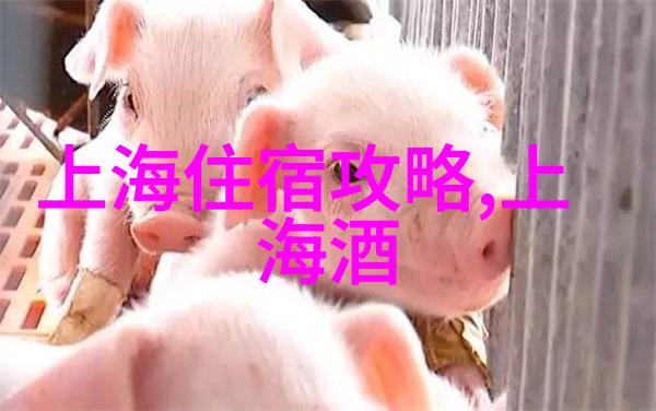 探索百度旅游官网您的最佳旅行伴侣
