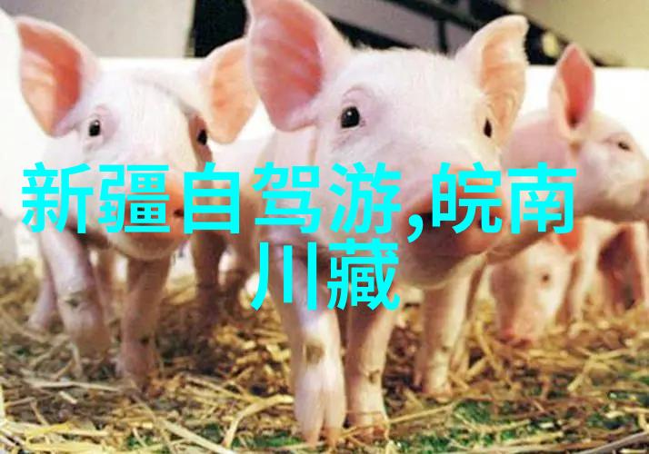 冰雪灾害高发期警告亲爱的山地车们2021年的你准备好迎接挑战了吗