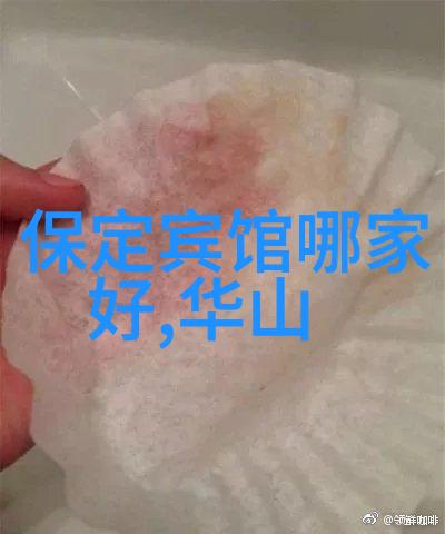 沙漠里的孤独美丽穿越无尽戈壁的征程