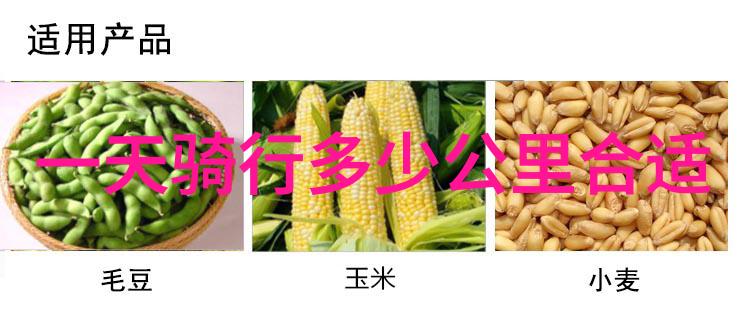 出国旅行的最佳国家选择国际旅游热门目的地