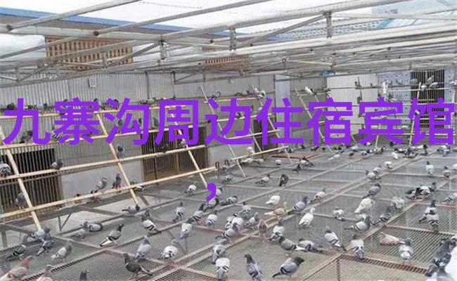 云南省份地图解读揭秘云南旅游必去景点背后的故事