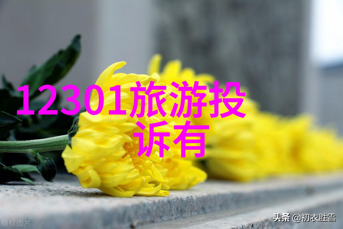 骑行装备全解析从头盔到车轮点亮您的骑行旅程
