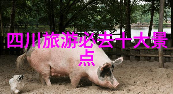 春日游探秘3月最佳旅游景点自然风光文化遗产城市之旅