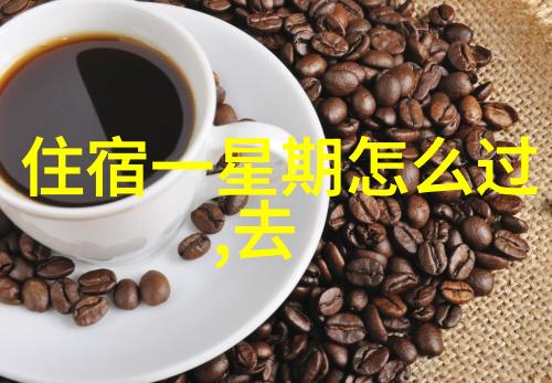 密钥之谜全国导游证官网入口的神秘守卫者