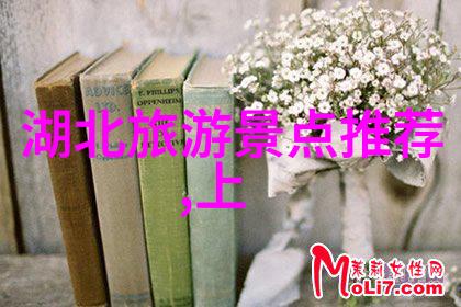 九顶山鸡爪棚露营地团建小活动室内游戏攻略在社会中探索新体验