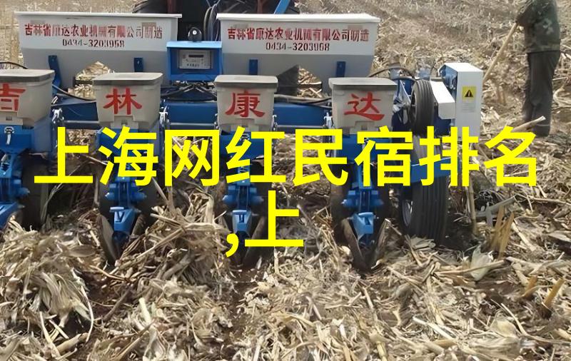 上海美食探秘寻味老城区的五大盛宴