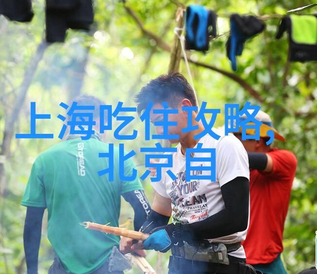 海外旅行的梦想之地探秘全球最经济国家