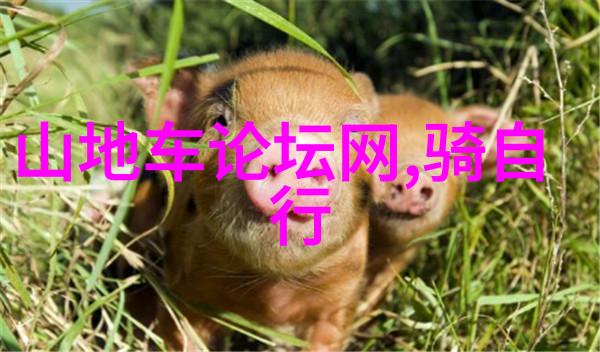 云南之冠盘龙江自驾游体验