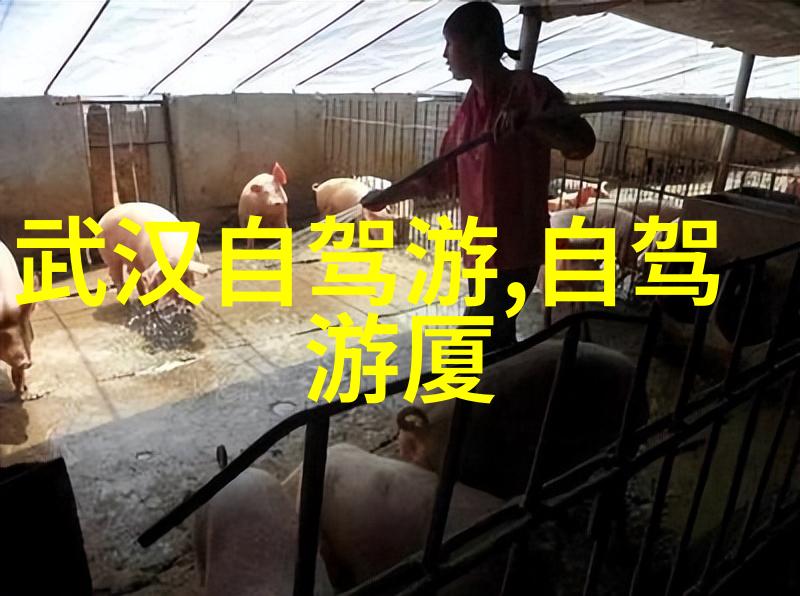主题我眼中的2022年全球3月解封从隔离到释放的美好瞬间
