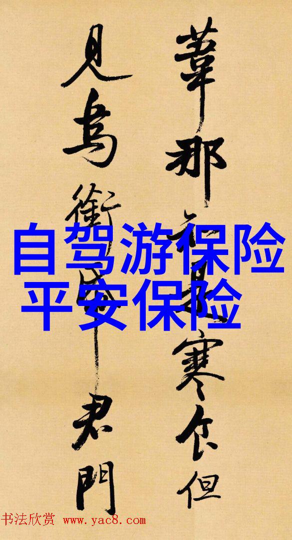 一帧一幕的旅行者徐云的骑行视频展览
