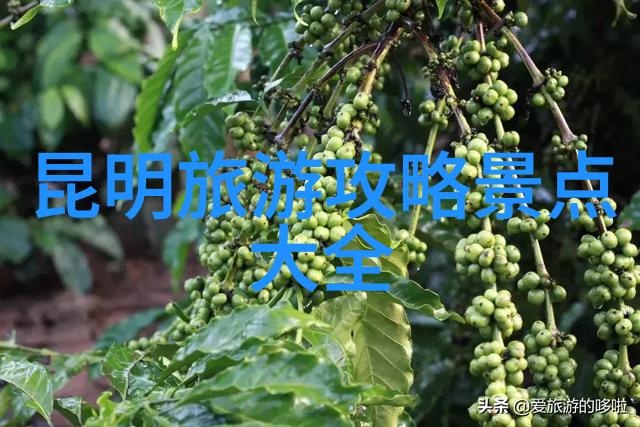 繁华街头隐秘味道探索上海小吃一条街的奇妙篇章
