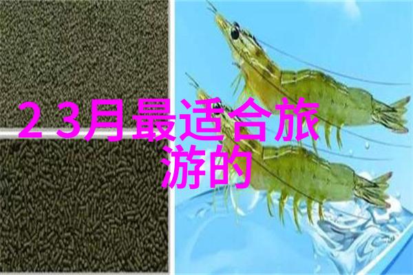 在成都富力丽思卡尔顿酒店万宝龙与其携手创造了都市探索主题下午茶的奇妙体验而在上海过年时有哪些好玩的地