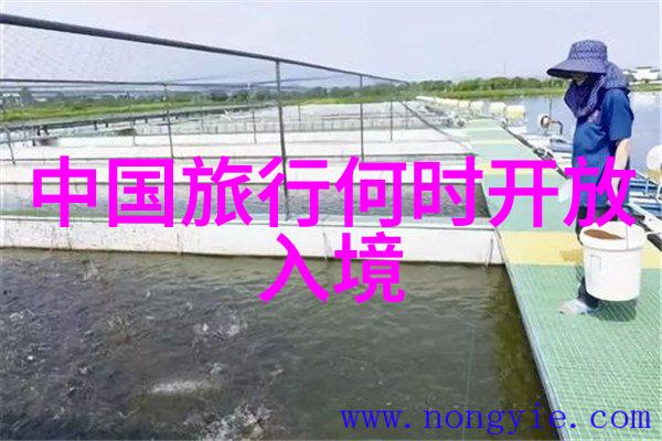 绍兴自驾游探秘发现绍兴的美丽风光
