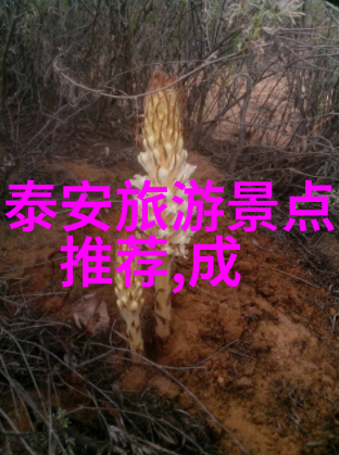 云南玉石之旅若人杭州游踪留下退款之心
