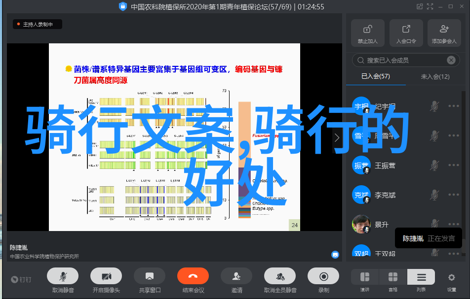 绿意盎然的摄影天堂九寨沟拍照攻略分享