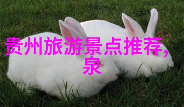 一程家庭之旅一生的回忆由一个小学四年的孩子所述