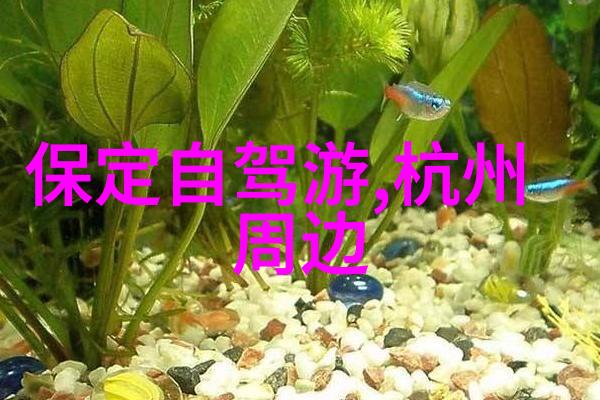 四川雪地奇遇追踪武汉ws热雪的神秘足迹