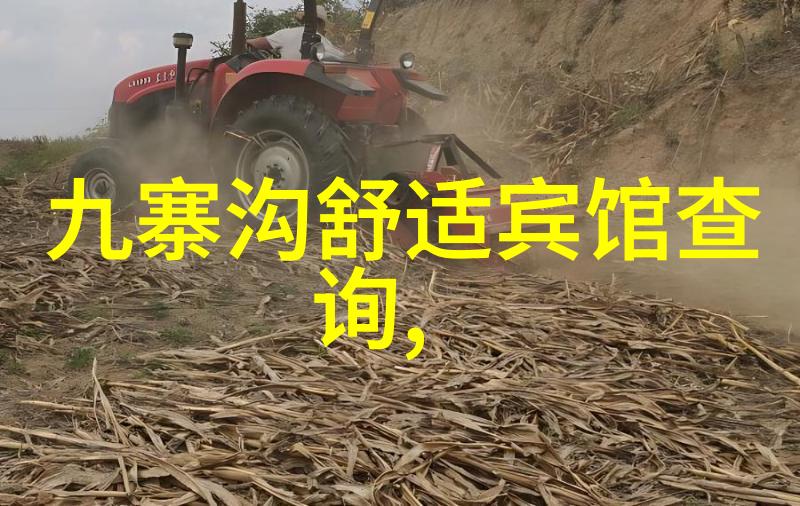 冬日奇遇探秘银装素裹的雪乡美丽篇章