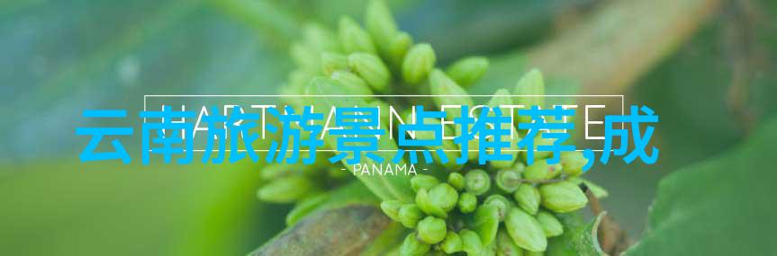 云南5天游玩攻略探秘大理丽江与香格里拉的魅力之旅