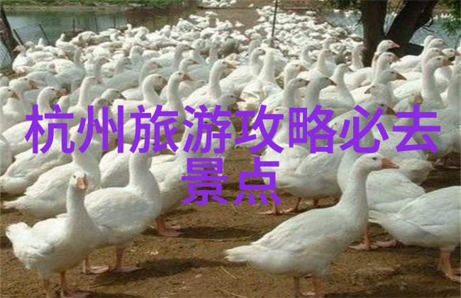 旅行软件app哪个好比对各大旅行应用的功能与用户体验
